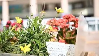 散歩動画＆フォトウォーク　2026/1/18 SUN Shot on Nikon zfc TTArtistan 25mm
