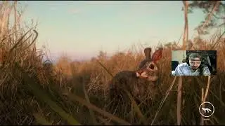 Running the Askiy Ridge Feeder Route | theHunter COTW Grind for the Great One