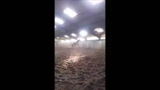 3 min of frisky horse