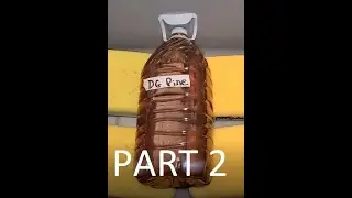 120 ounces of DG Pine / SPONGE ASMR - SUDS, SQUEEZING & SCOOPING / 1 & 2 BUCKETS / RELAX part 2 of 3