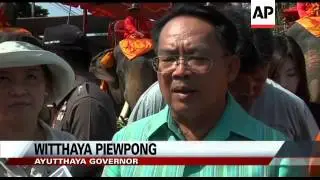 Thai elephant park opens, signals flood recovery