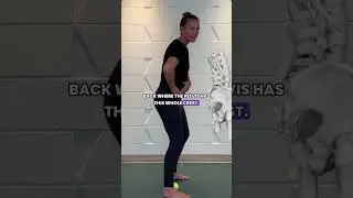 Exploring the Iliac Crest with a ball.  #fascia #iliaccrest #pelvis #back #mobility #fasciarelease