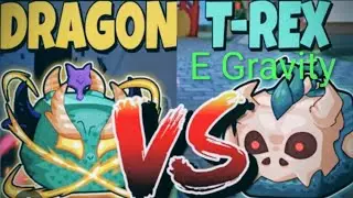 DRAGON vs Gravity e depois t-rex