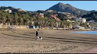 MALAGA LIVE (december 24, 2025)