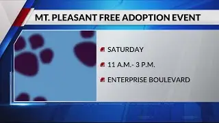 Mount Pleasant animal center to hold free adoption event