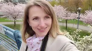 Cherry blossom- David Lam Park and Cherry Blossom Garden