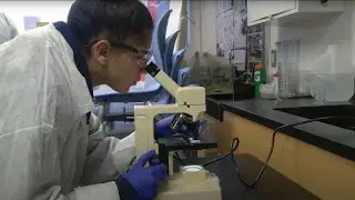 Advanced academics for everyone