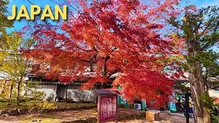 Discovering Hida-Furukawa, A Hidden Gem in Central Japan