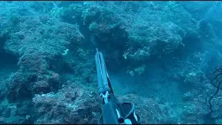 BEYOND 40M: 