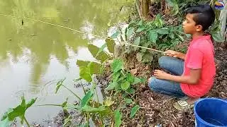 Village Little Boy Fishing in Paddy Field || Catching Fish Hunting By Hook From Beautiful Nature
