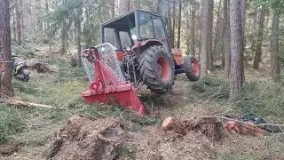 🌲Forstarbeit🌲 Aufarbeitung von Sturmholz mit Taifun Seilwinde