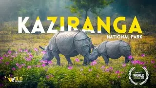 Hidden Gem of Assam &ndash; Kaziranga&rsquo;s Wildlife in 30 Seconds!