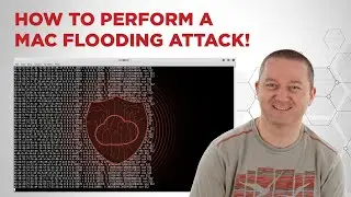 MAC Flooding - Follow Along Lab