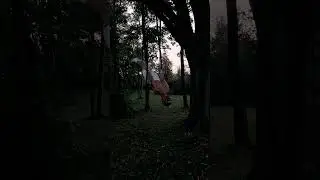 Front to back                                             #calisthenics #frontlever #backlever #gym