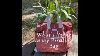 What is living in my Birdling Bag # 1 - WIP- Bag O' Day Crochet