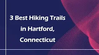 3 Best Hiking Trails in Hartford, Connecticut | Nature Trails
