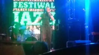 mc Stewlocks Lizzard King Krakow
