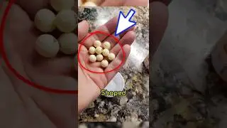 Невероятно редкие фотографии, запечатлевшие моменты, которые случаются раз в жизни!