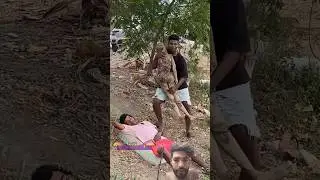 funny reaction #funny #comedy #monkey #fun #memes #tendencia #viral #comedyvideos #classmasti