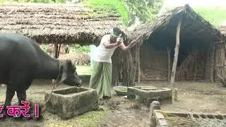 Ka Lutawan Thheka Liha Hain_का लुटावन ठेका लिहां हैं !