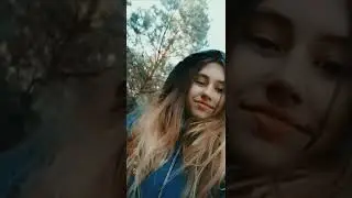 Beautiful nature of the native forest🌲