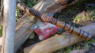 I am finally making an Aussie Lagerphone from native fallen timber.