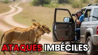 &iexcl;Los 8 Ataques M&aacute;s IMB&Eacute;CILES Provocados Durante Selfies con Leones!