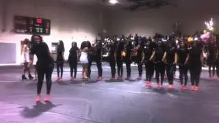 KSU | Pi Phi Chapter of Alpha Kappa Alpha Sorority, Inc. Probate: Reveal !!!