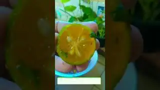 Have you tried thiz recipe /// amazing /// Fish salad recipe// Different  recipe @AzaRuzai vlogs