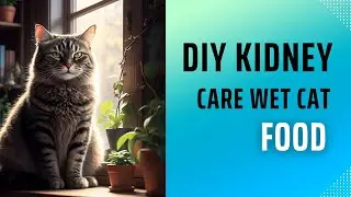 DIY Kidney Care Wet Cat Food That Your Feline Will Love!