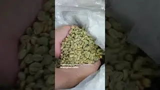 Coffee Experimental Lab - Homemade Indonesia Beans X Seven Sumatra Beans