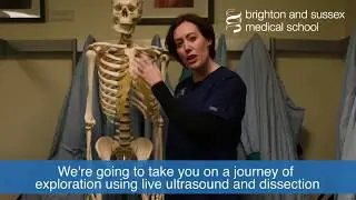 Dr Claire Smith previews her Brighton Fringe Festival event