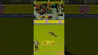 Unreal Catch by Phil Salt &ndash; Cricket Shock Moment!#shorts
