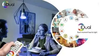 iDual - LED Lighting Effects