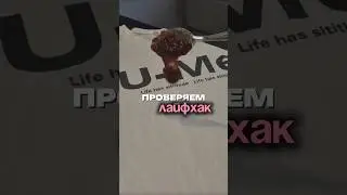 С 12.02 по 20.02 промокод UVK3X28D на 10% скидку арт.вб #WW300029(копируйте с WW) и озон#1641932840