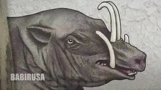 CUTE OR DANGEROUS? BABIRUSA PIG in the SINGAPORE ZOO Счастливый кабан