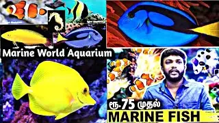 Marine Fish Tank Setup and Tips | Marine World Aquarium  | Salt water Aquarium |Marine Fish Kolathur