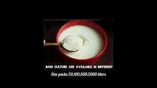 Curd culture ( bioflex )  contact us  for more information (9855828003 , 7009149260  )