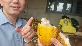 Raiding the largest cocoa and coffee farm in VIETNAM/Đột nhập n&ocirc;ngtrường cacao,caphelớn nhất VIỆTNAM