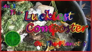 Am I the Luckiest Composter on the Planet?