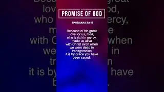 #PromiseofGod #Bible #Jesus #GlorytoGod #youtubeshorts #shorts #Biblicalpromise