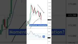 Make a more than decent living | #shorts #crypto #cryptoland