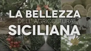 Limite, potenza, innovazione - La bellezza dell'agricoltura siciliana (Unict x Expo)