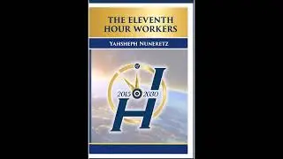 Eleventh Hour Workers 2015-2030 (Audiobook)