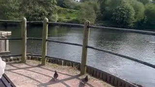 Witton Lake...Birmingham  একটা শান্ত,ছবির মত সুন্দর জায়গা💚
