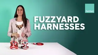 How to fit a FuzzYard harness on your dog