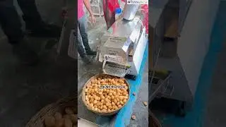 Make instant snacks with the Mini Panipuri Fryer Machine | Start a home-based business!