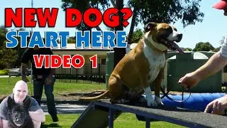 New Dog Owner Tips VIDEO 1 | Make Your Dog Match Your Lifestyle With Great Training 2021
