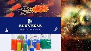 Introduction to Eduverse