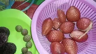 Makan buah langka gunung